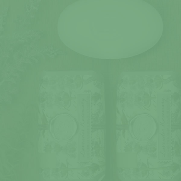 Michel Design Works no Brasil